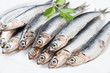 Fresh anchovies close up