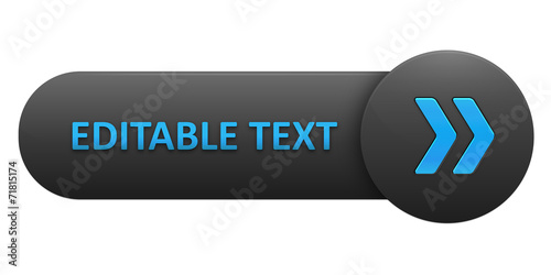 Fotografie, Obraz VECTOR BUTTON with EDITABLE TEXT (blue arrows)