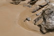 Strukturen im Sand - Manly Beach