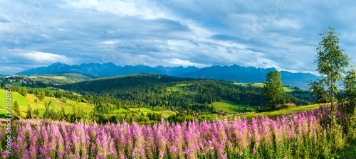 Fototapeta na wymiar Summer mountain country panorama (Gliczarow Gorny, Poland)