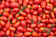Background of the plurality of oval red tomatoes