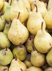 Canvas Print - Sweet pears in big market