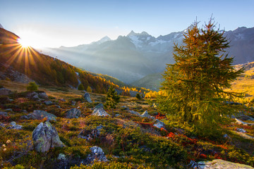 Canvas Print - Switzerland