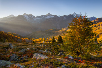 Canvas Print - Switzerland