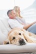 © WavebreakMediaMicro - Dog lying on the couch with the couple sitting behind