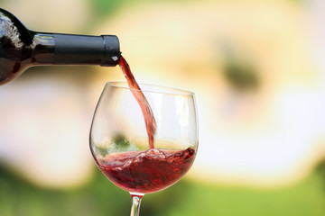 Wall Mural - Red wine pouring into wine glass, close-up