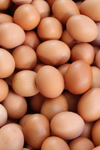 Fresh Eggs For Sale At A Market