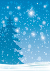 Wall Mural - Winter night.