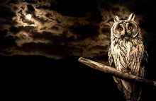 Owl And Full Moon Halloween Abstract Background
