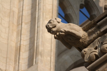 Wall Mural - Gargouille,Cathédrale d'amiens