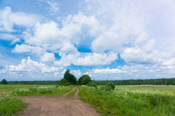 Poster - Road and Nobody Fields of Sunlight