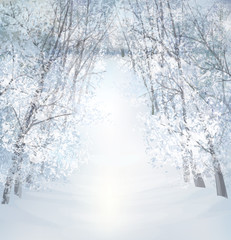 Wall Mural - Vector winter snow landscape.