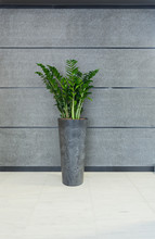 Grey Vase In Modern Interior