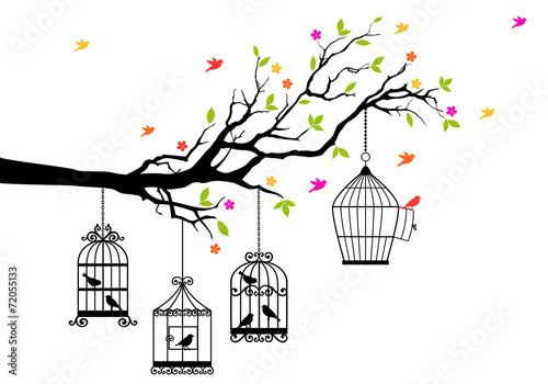 Naklejka dekoracyjna free birds and birdcages, vector illustration