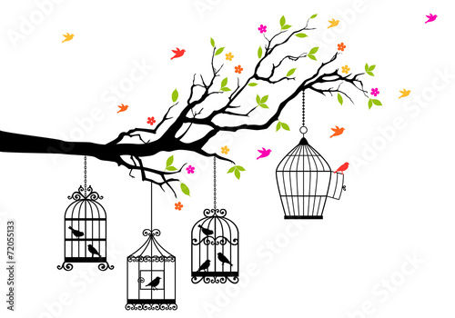 Naklejka na szafę free birds and birdcages, vector illustration