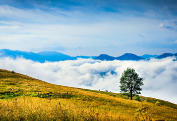 Wall Mural - amazing mountain landscape with fog and a haystack