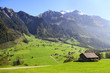 Gorgeous view of Alpine meadow in Switzerland