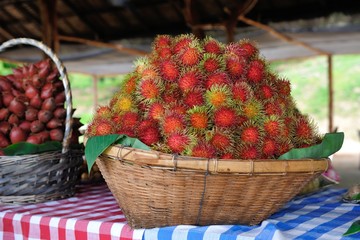 Wall Mural - rambutan