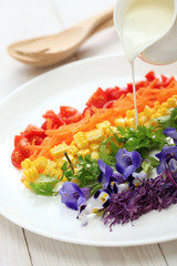 Wall Mural - rainbow super salad