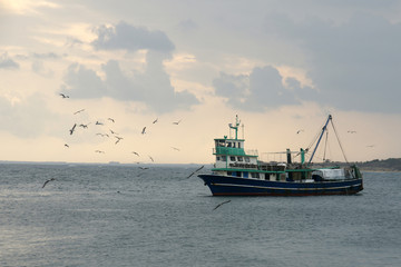 ship and seagulls - 1