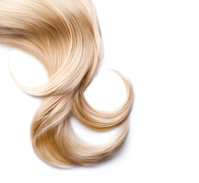 blond hair isolated on white. blonde lock closeup