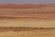 Dünenlandschaft der Namib