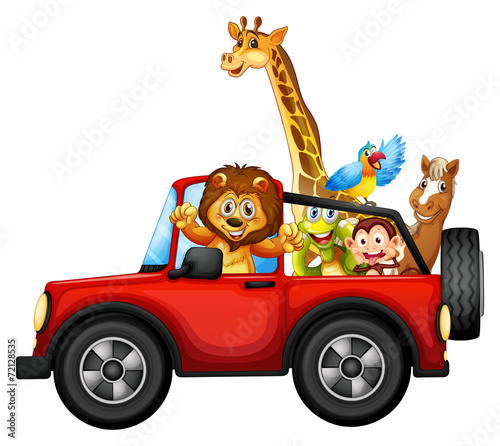 Obraz w ramie Animals and car