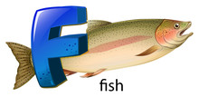 A Letter F For Fish