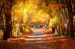 canvas print picture - Alley in the autumn park