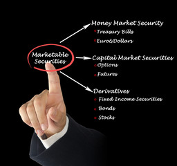 Canvas Print - Marketable Securities