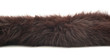 Strip of fur isolated