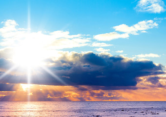 Canvas Print - Early Morning Morning Glory