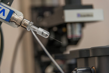 Wall Mural - Electrophysiological setup to record neurons in brain samples