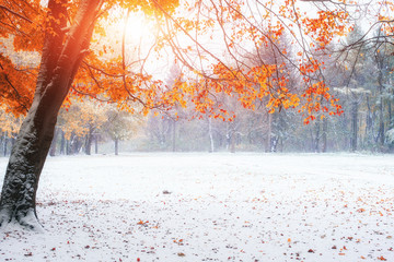 Wall Mural - first days of winter