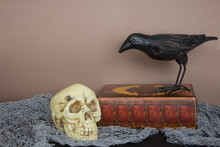 Halloween Crow And Skull With Spell Book