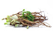 Fresh Dong Quai root, Chinese  herbal medicine.