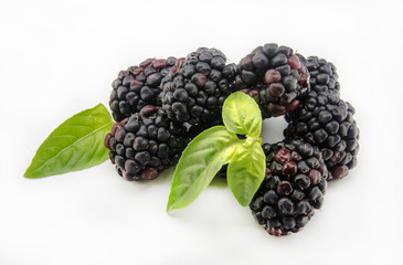 Wall Mural - Moras