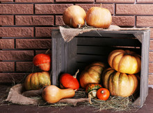 Pumpkins In Crate On Floor On Brick Wall Background