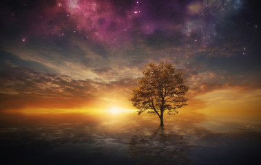 Wall Mural - surreal tree in lake