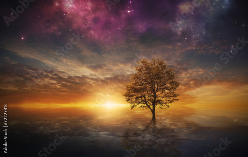 Sonnenuntergang Fototapete günstig kaufen | Fototapeten | Bildtapete