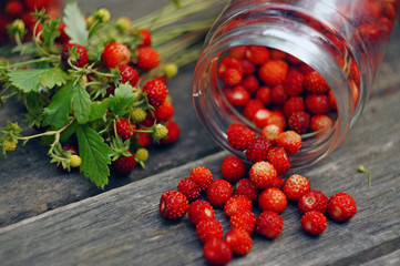 composition with berries of wild strawberry