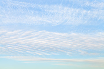 Wall Mural - light white clouds in blue evening sky