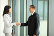 © michaeljung - businessman handshaking with businesswoman