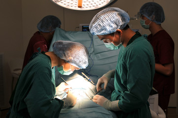 Wall Mural - veterinarian surgeon working in operating room with an assistant