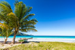 Boat, palm tree beautiful tropical beach Playa Rincon