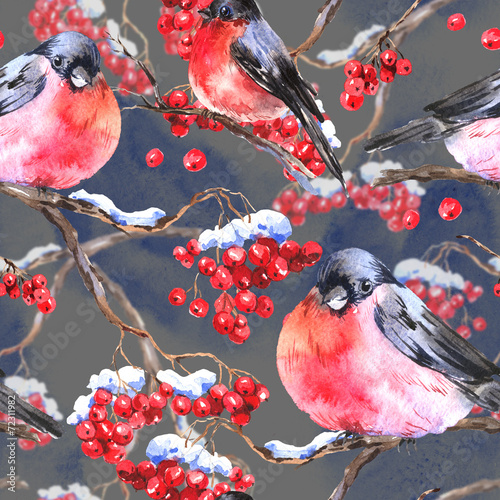 Obraz w ramie Watercolor seamless background with bullfinches