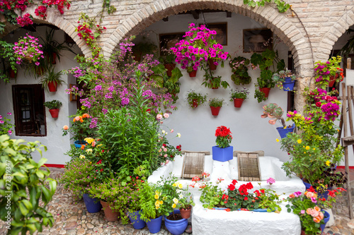 Flowers Decoration Of Vintage Courtyard Typical House In
