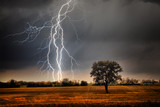 Fototapeta Dmuchawce - Lightning over field
