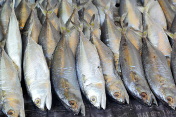 fresh fish at the market