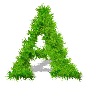 Conceptual green grass 3D font isoalted